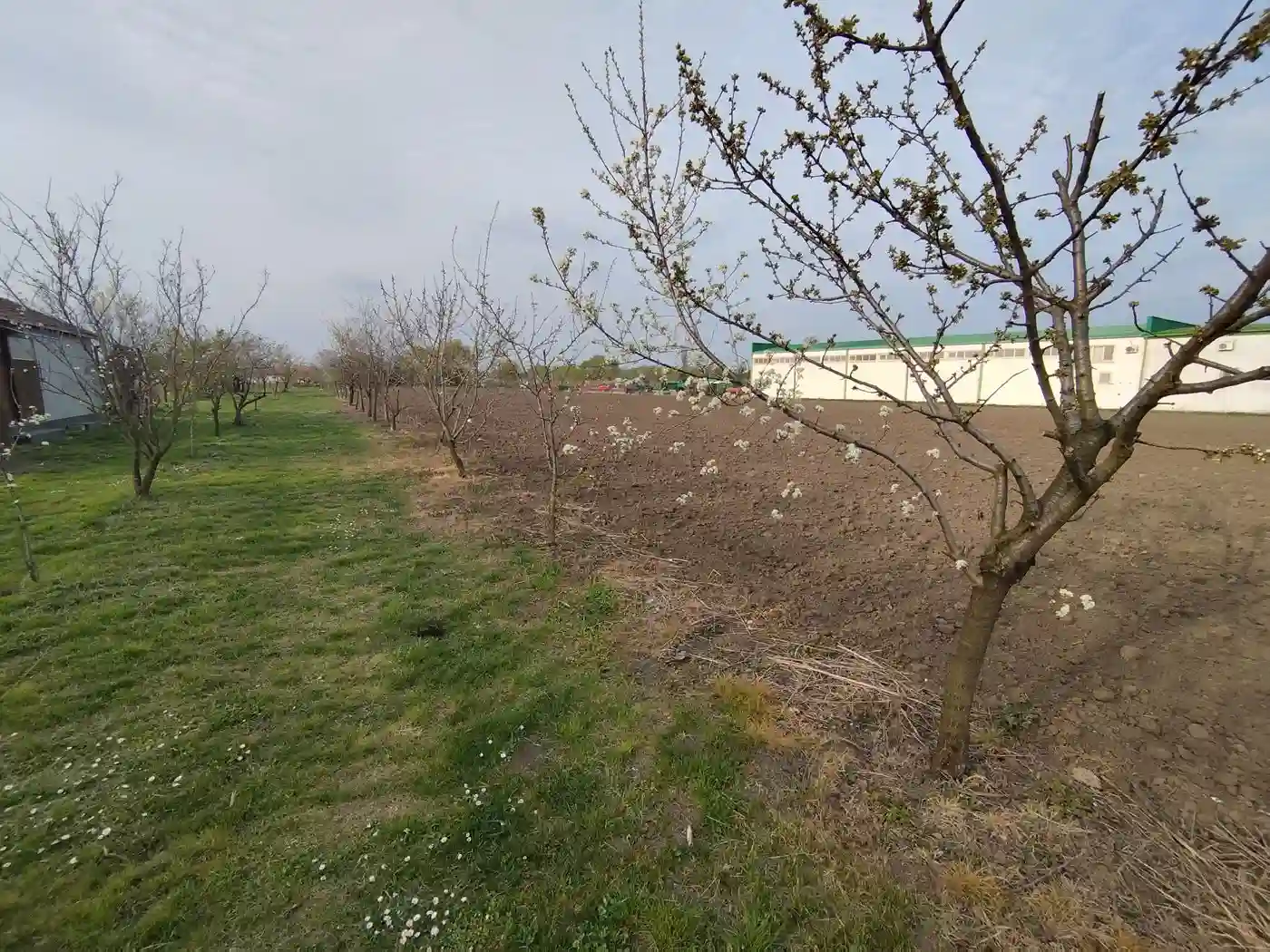 plac na prodaju Bački Jarak 6101m2 552392