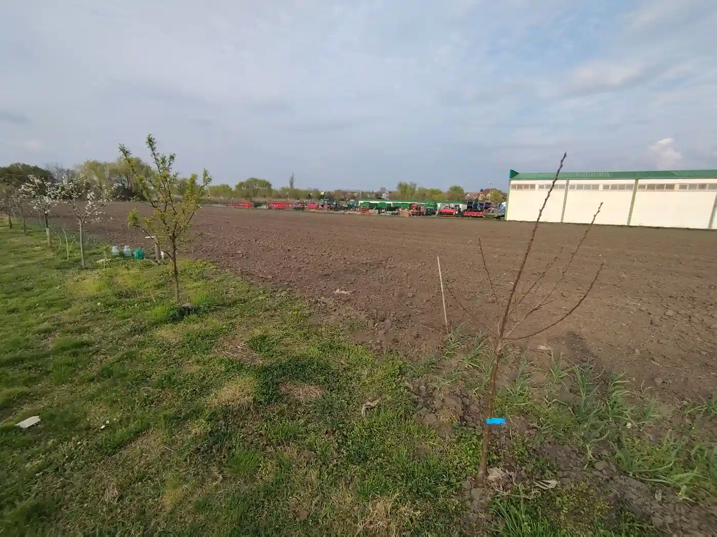 plac na prodaju Bački Jarak 6101m2 552392