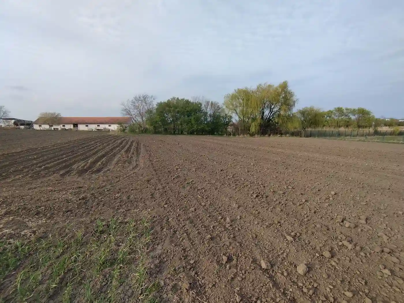 plac na prodaju Bački Jarak 6101m2 552392