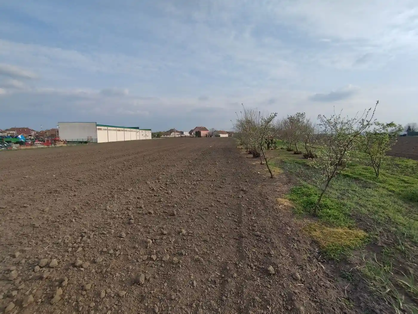 plac na prodaju Bački Jarak 6101m2 552392