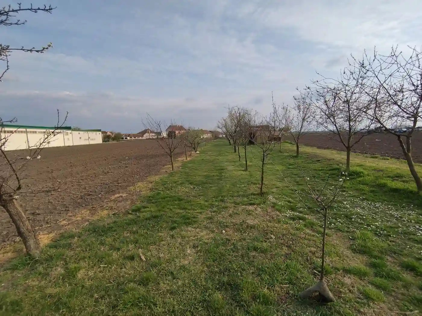 plac na prodaju Bački Jarak 6101m2 552392