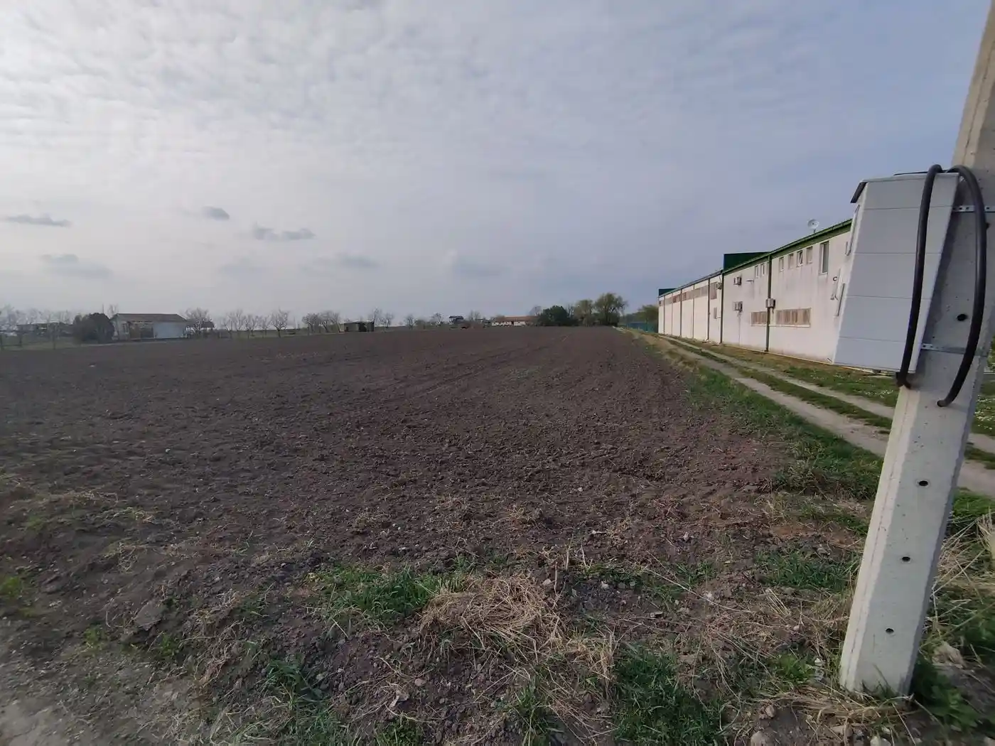 plac na prodaju Bački Jarak 6101m2 552392