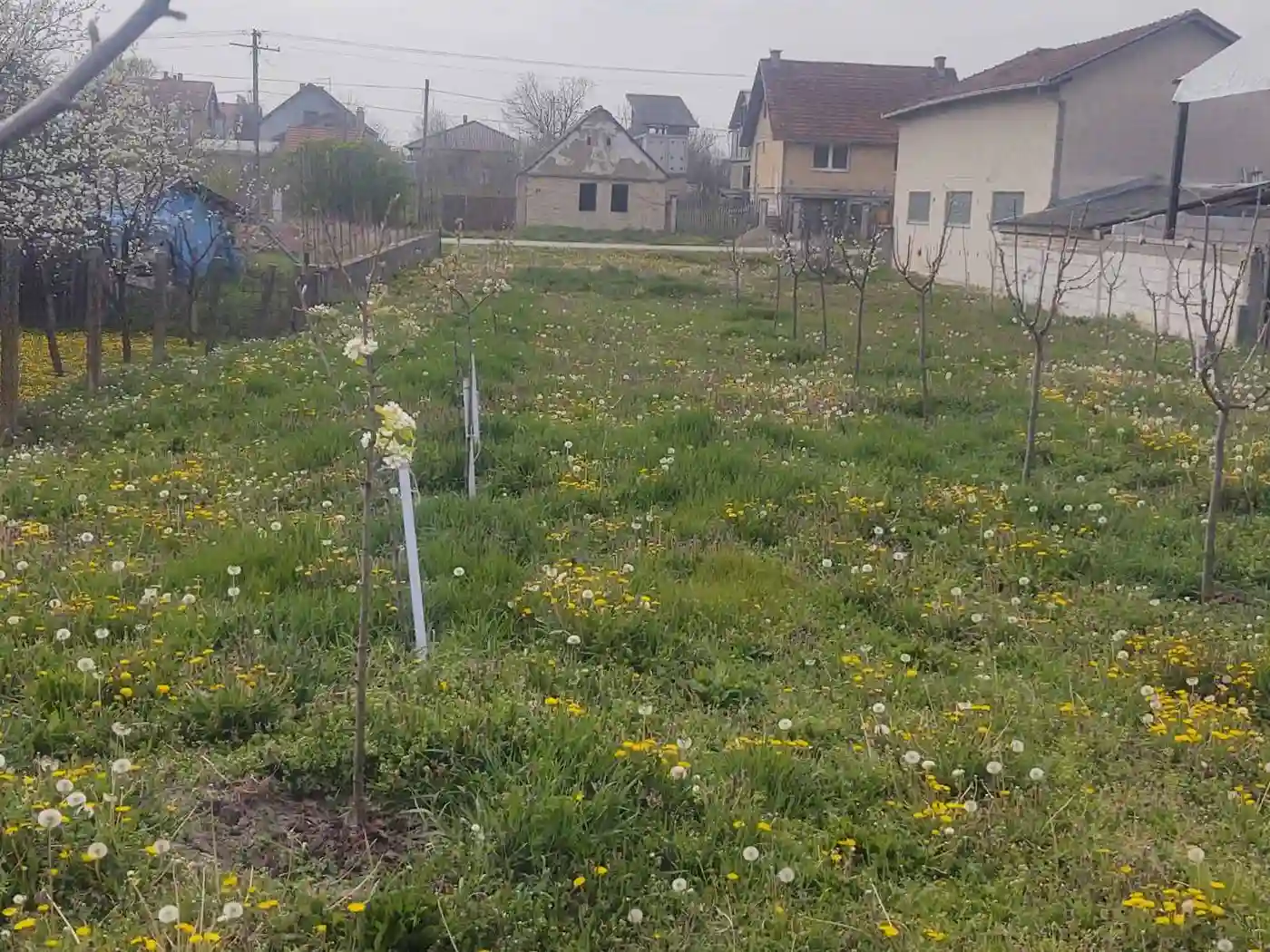 plac na prodaju Kać 1072m2 526021