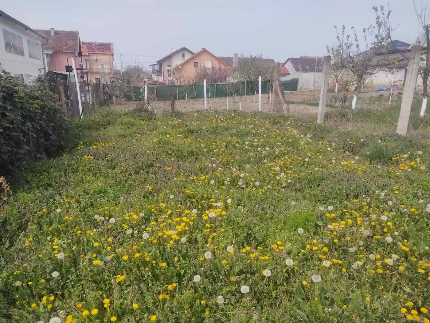 plac na prodaju Kać 1072m2 526021