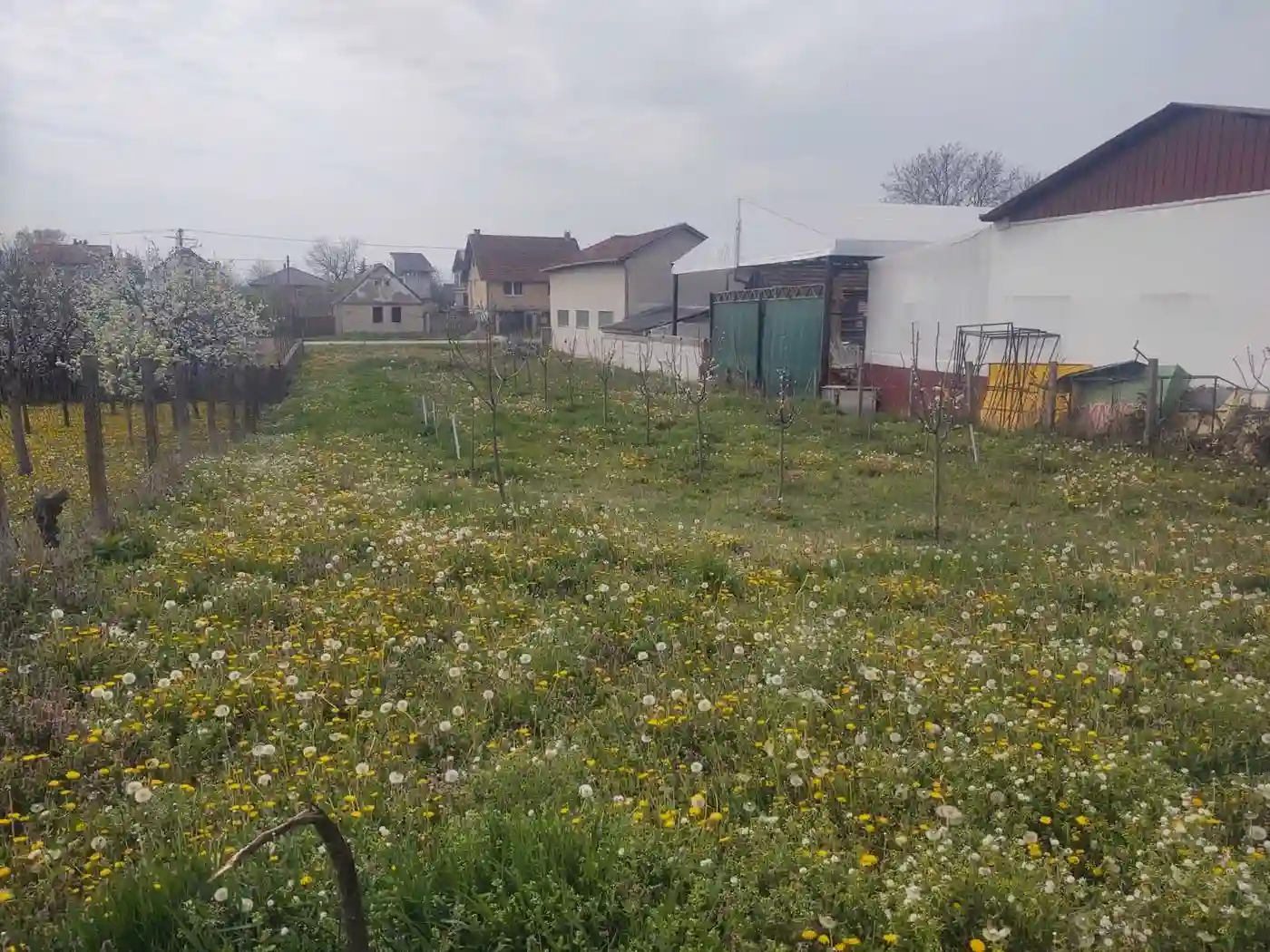 plac na prodaju Kać 1072m2 526021