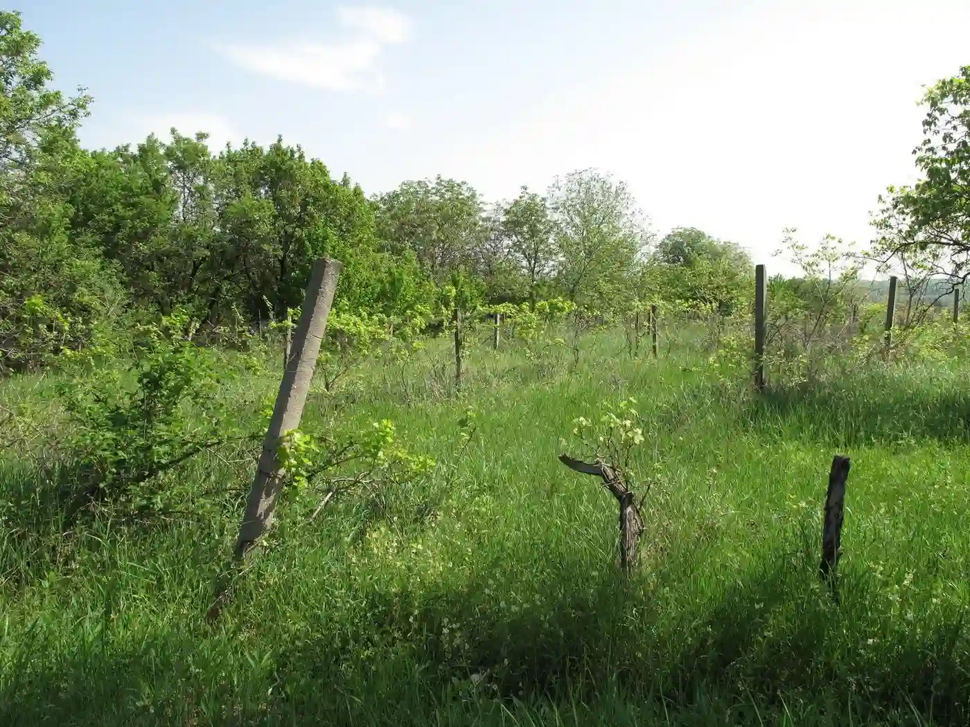 plac na prodaju Petrovaradin 1357m2 526080
