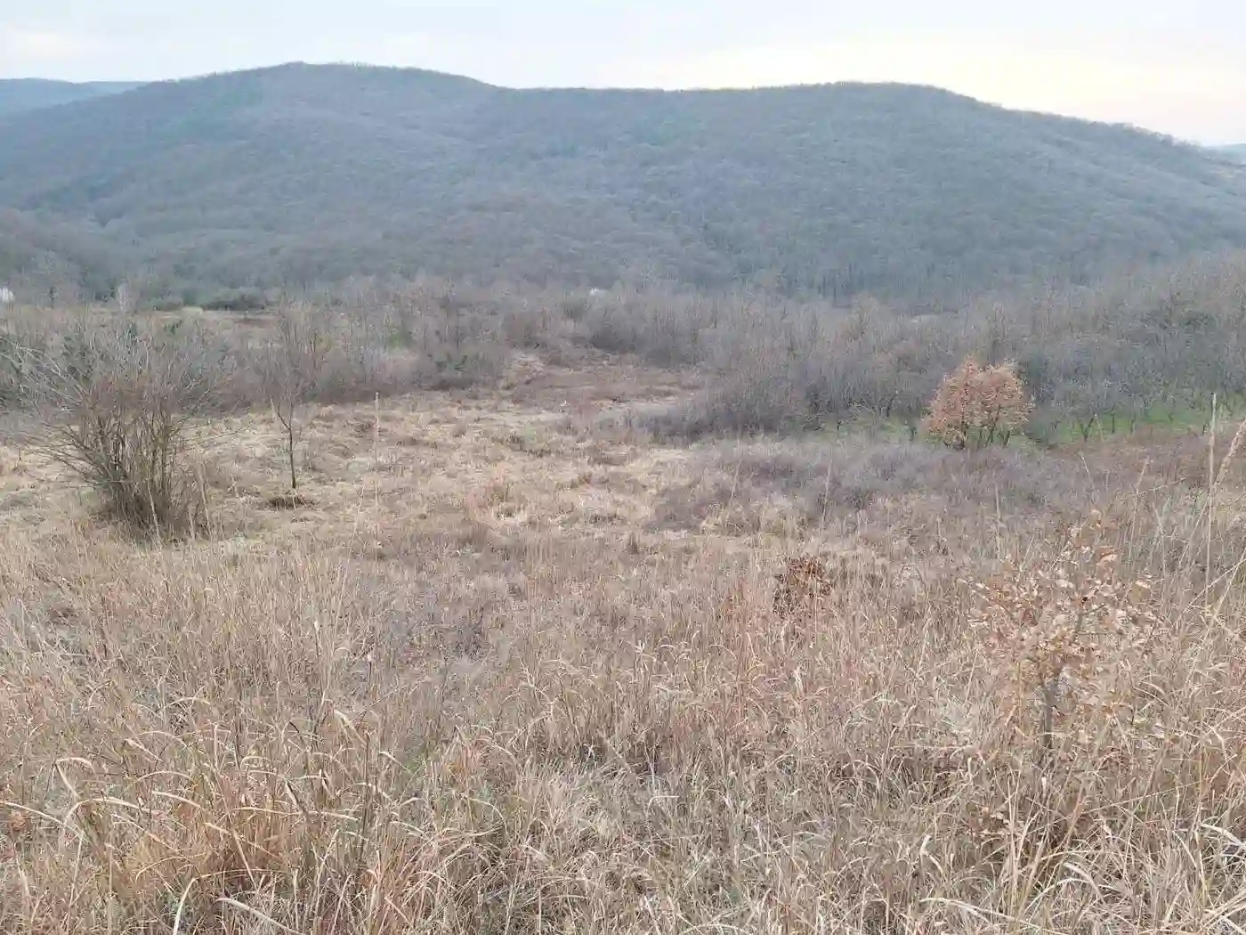 plac na prodaju Rakovac 2401m2 525563
