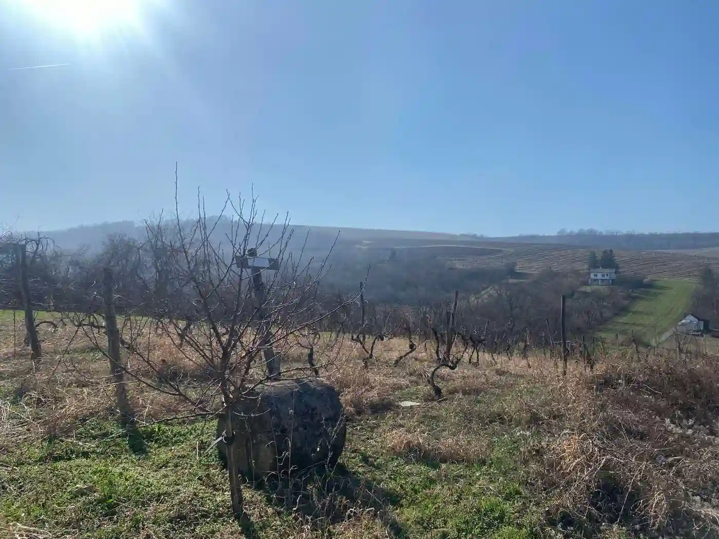 plac na prodaju Banoštor, 2370m2 515285