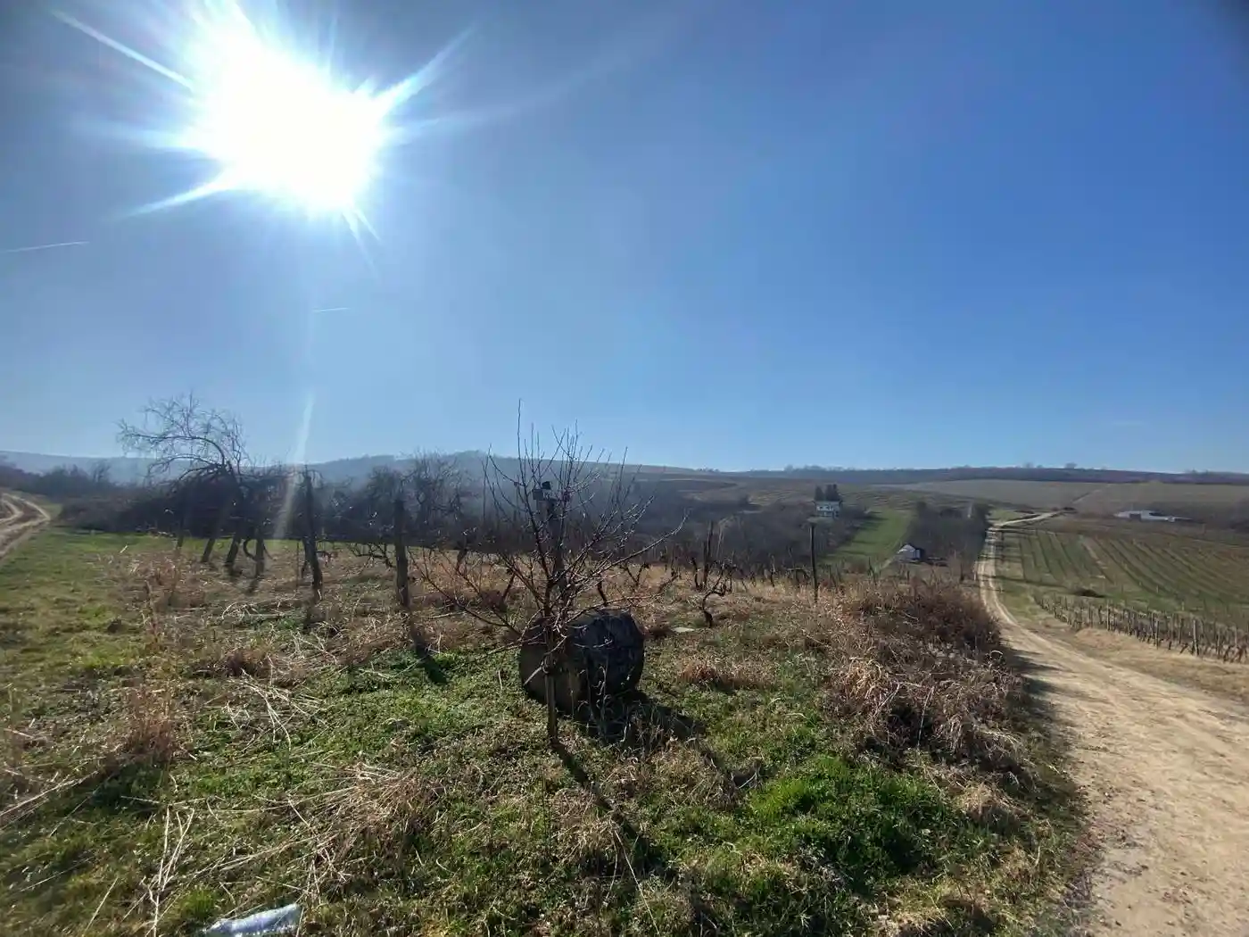 plac na prodaju Banoštor 2370m2 515285