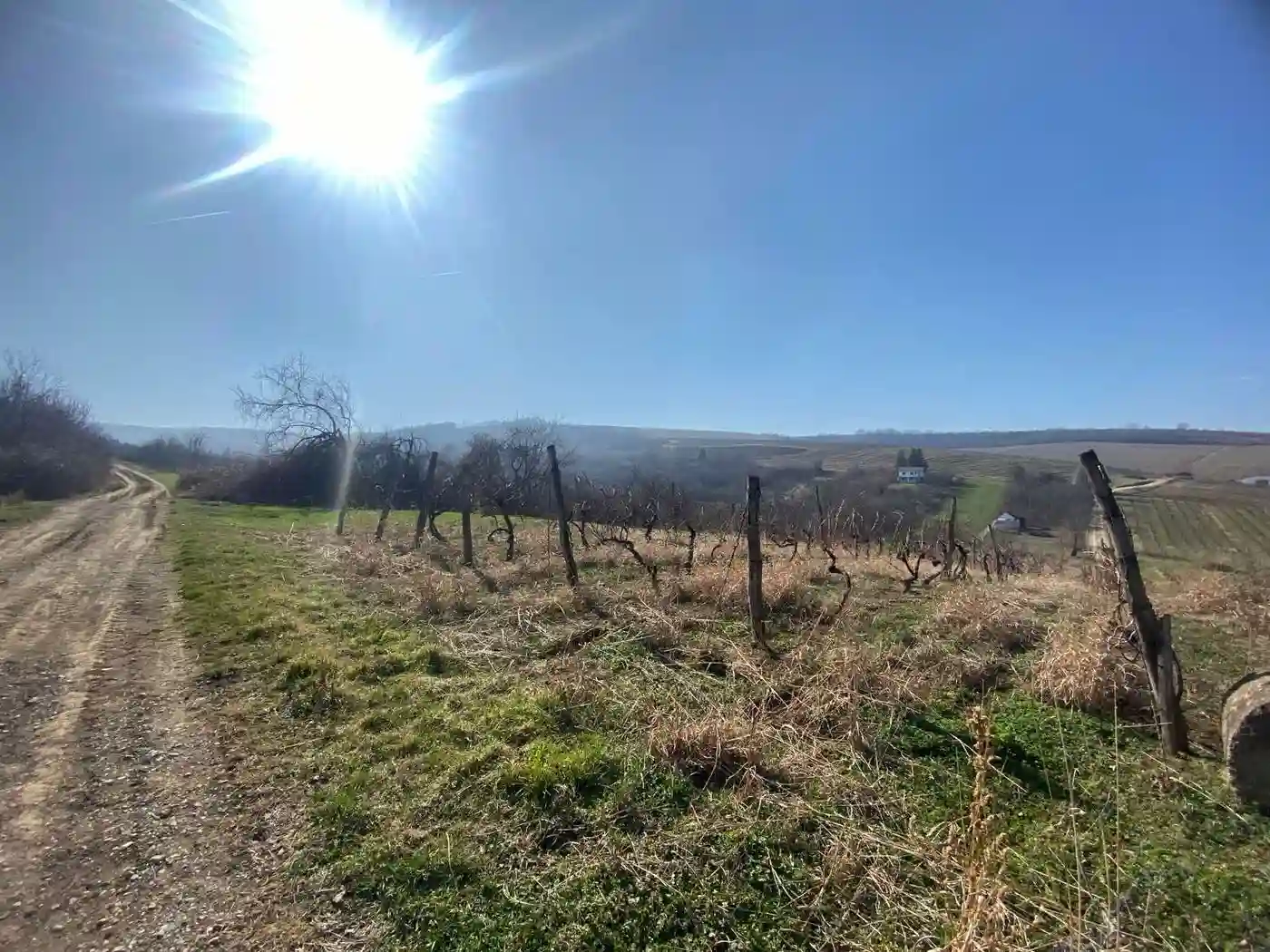 plac na prodaju Banoštor 2370m2 515285