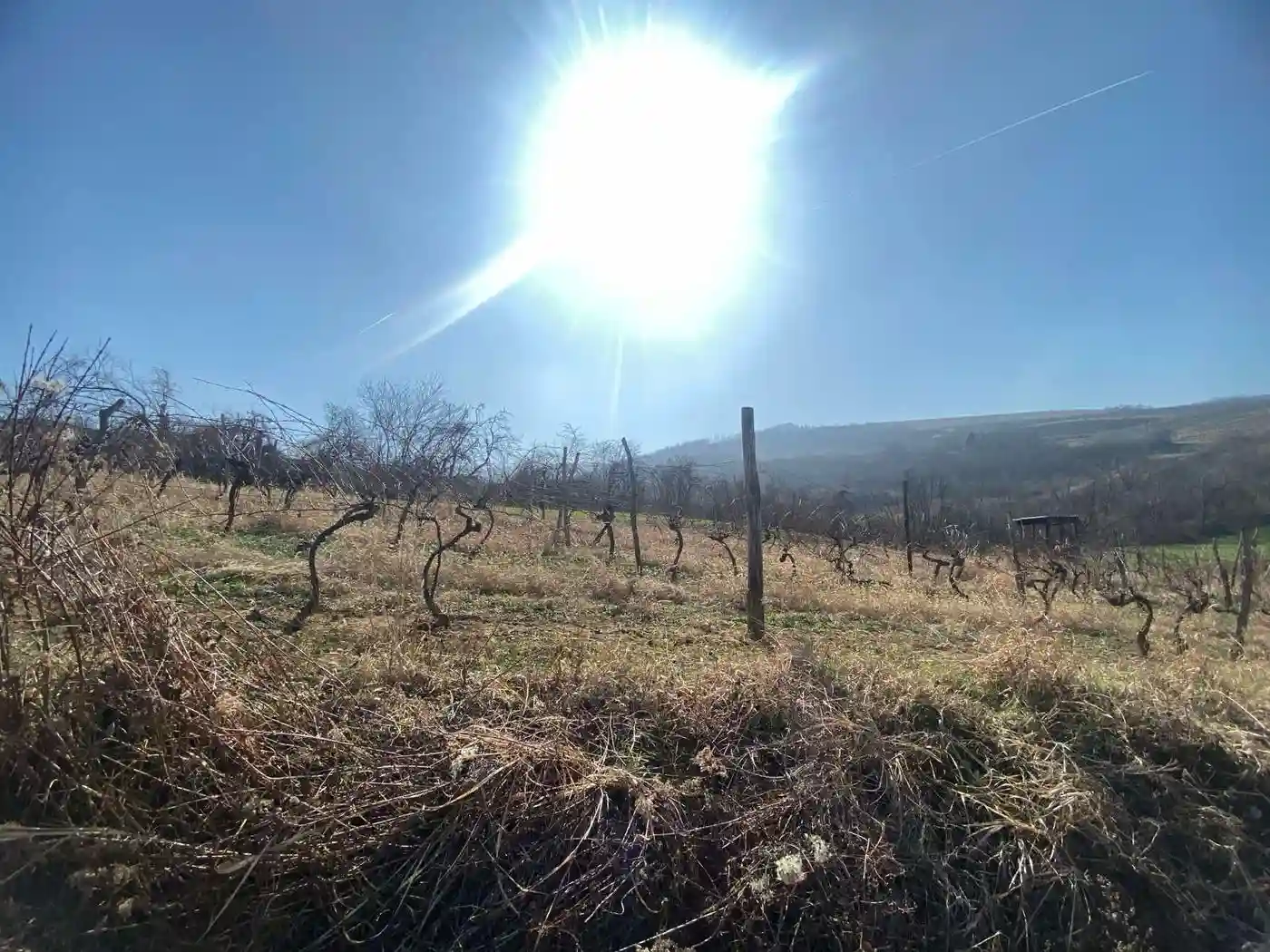 plac na prodaju Banoštor 2370m2 515285