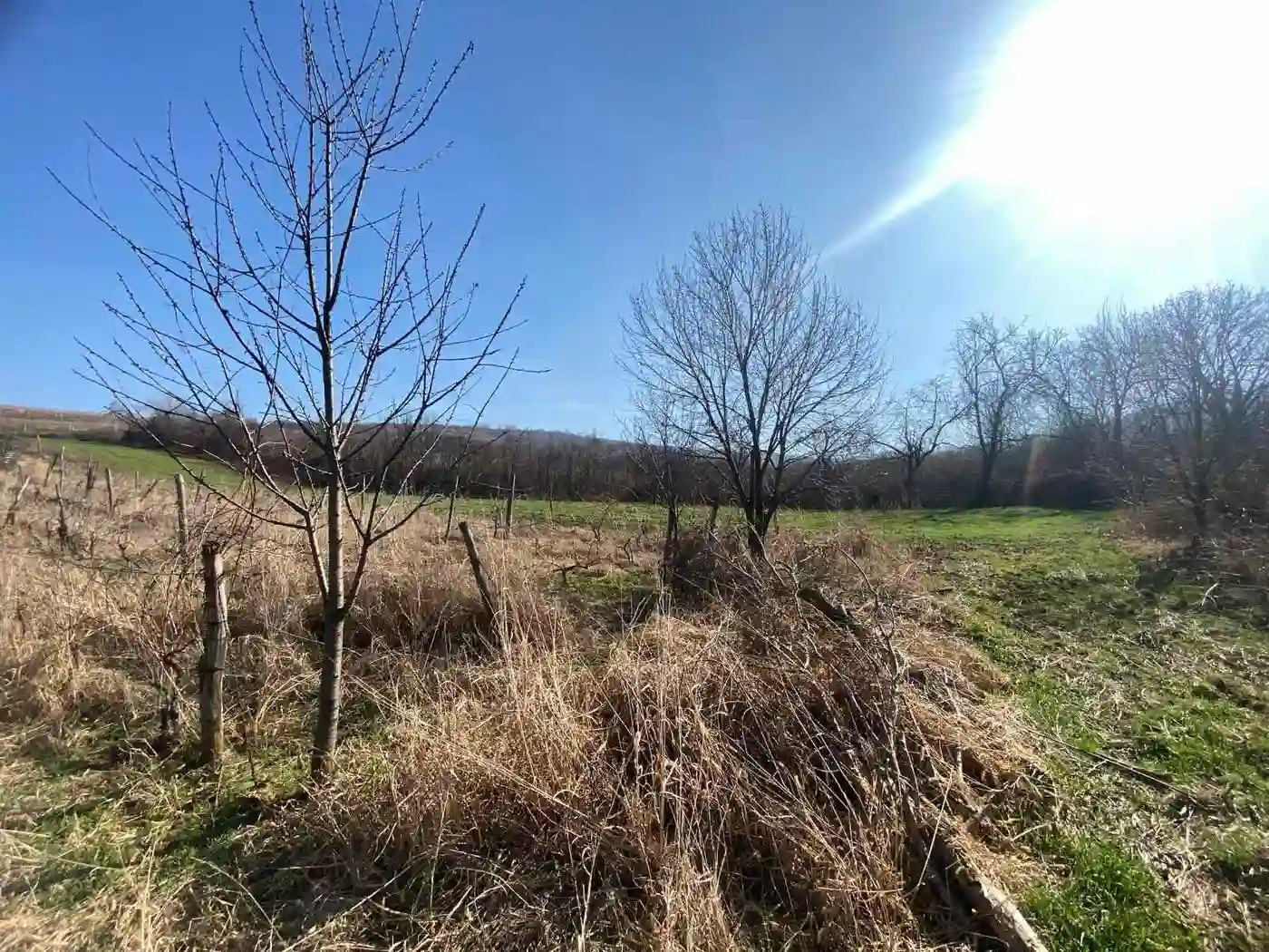 plac na prodaju Banoštor 2370m2 515285