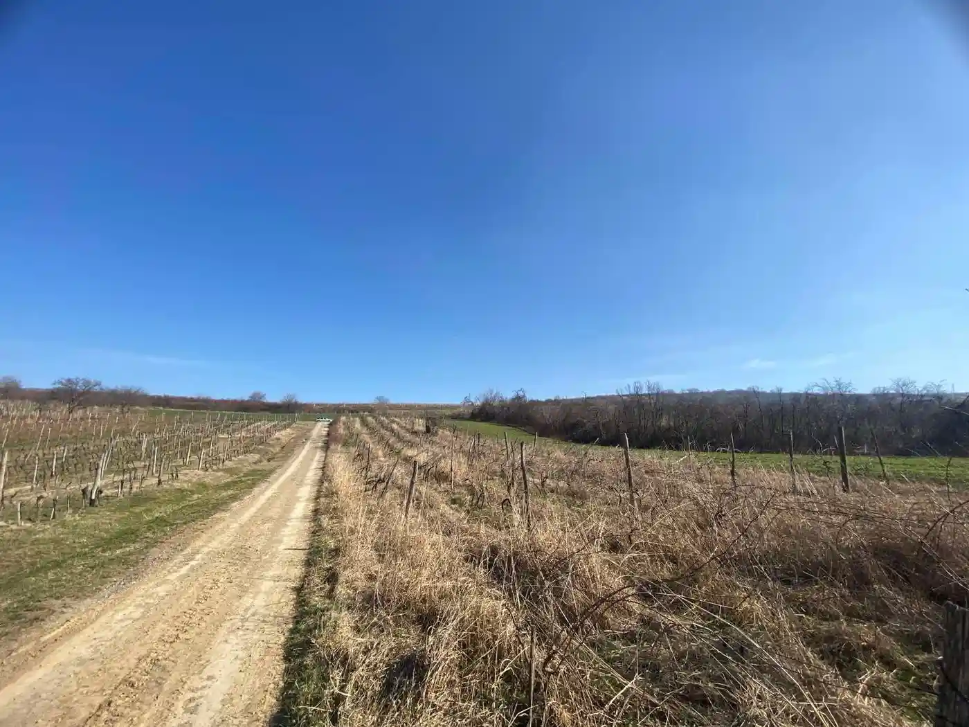 plac na prodaju Banoštor 2370m2 515285