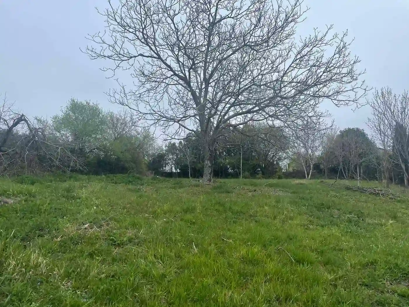 plac na prodaju Sremska Kamenica 2973m2 526149