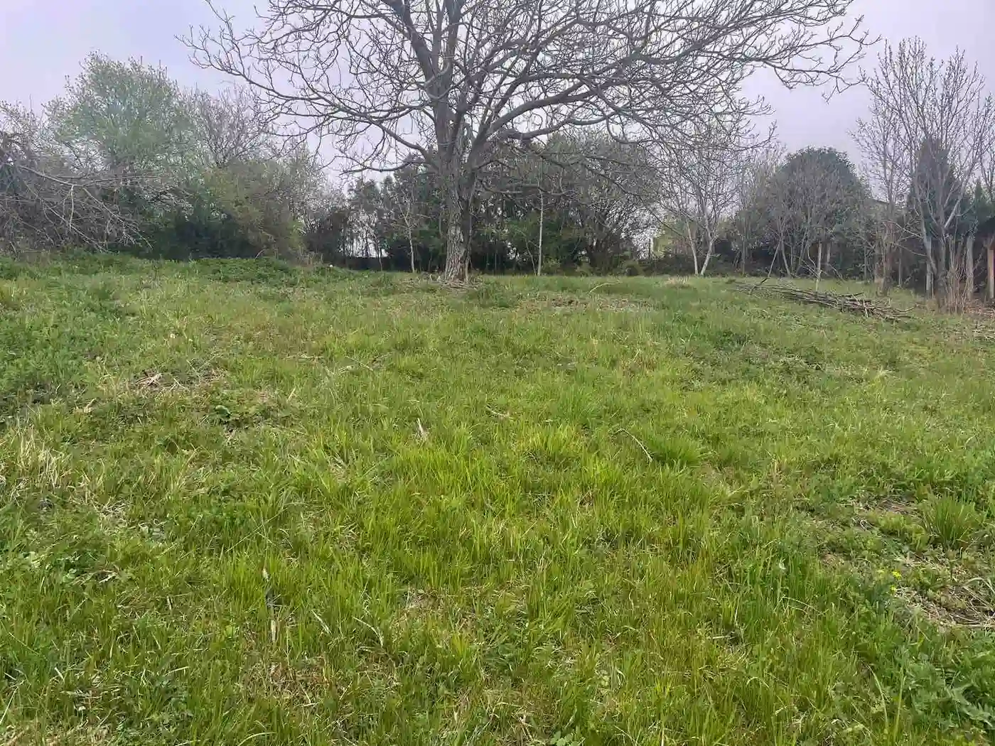 plac na prodaju Sremska Kamenica 2973m2 526149