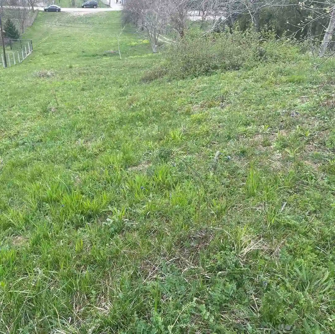 plac na prodaju Sremska Kamenica 2973m2 526149