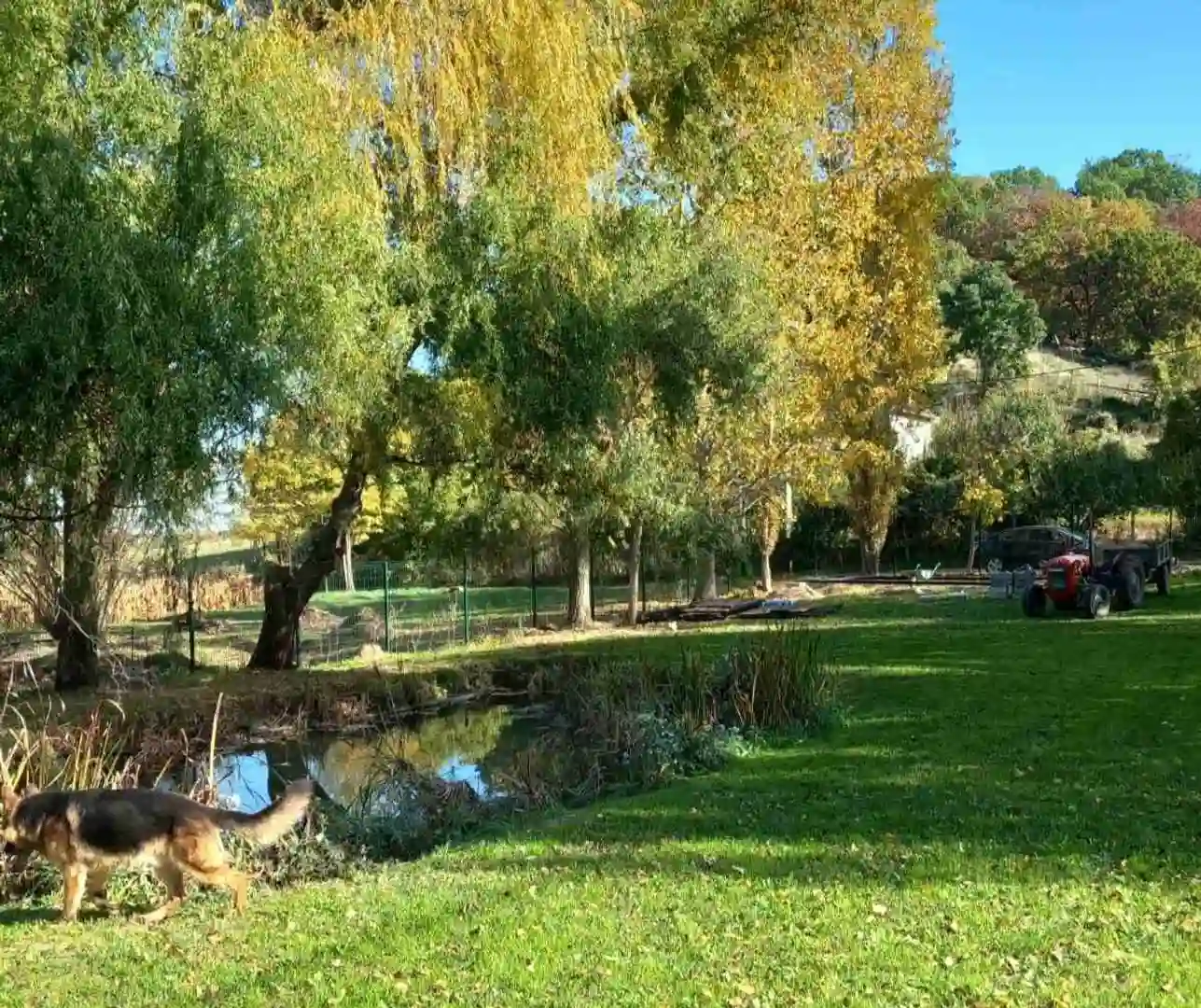 plac na prodaju Bukovac 1204m2 526339