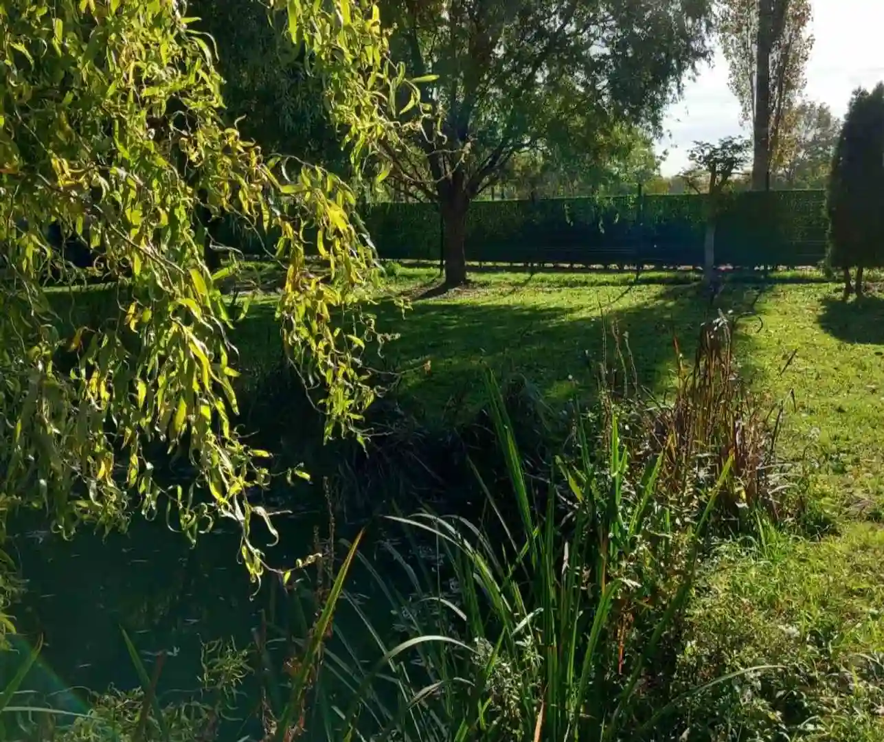 plac na prodaju Bukovac 1204m2 526339