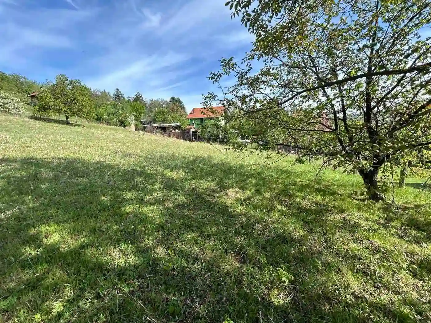 plac na prodaju Sremska Kamenica 800m2 574185