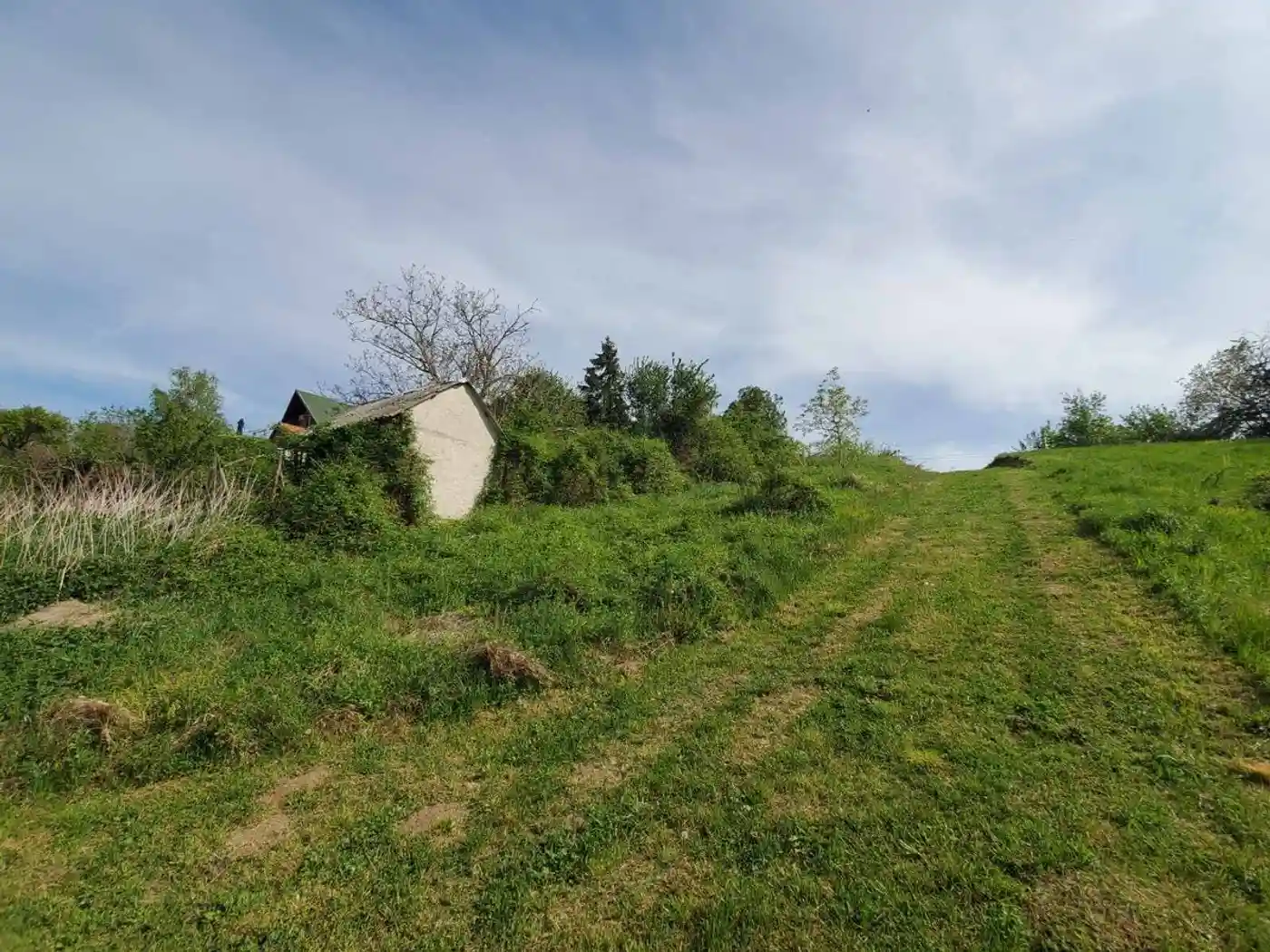 plac na prodaju Sremski Karlovci 2429m2 526800