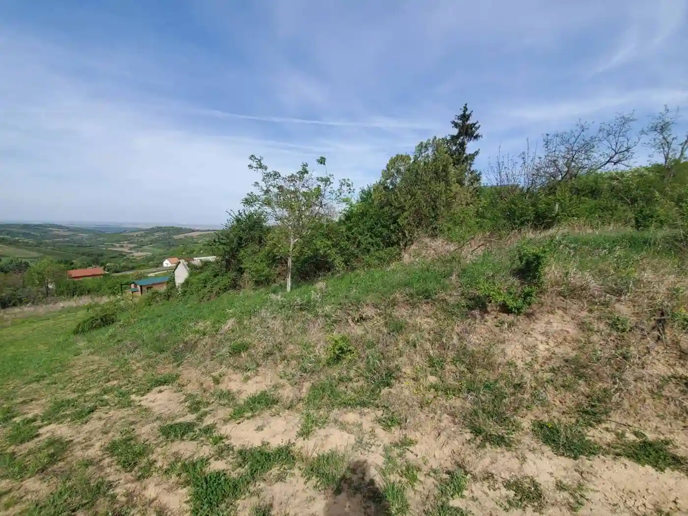 plac na prodaju Sremski Karlovci 2429m2 526800