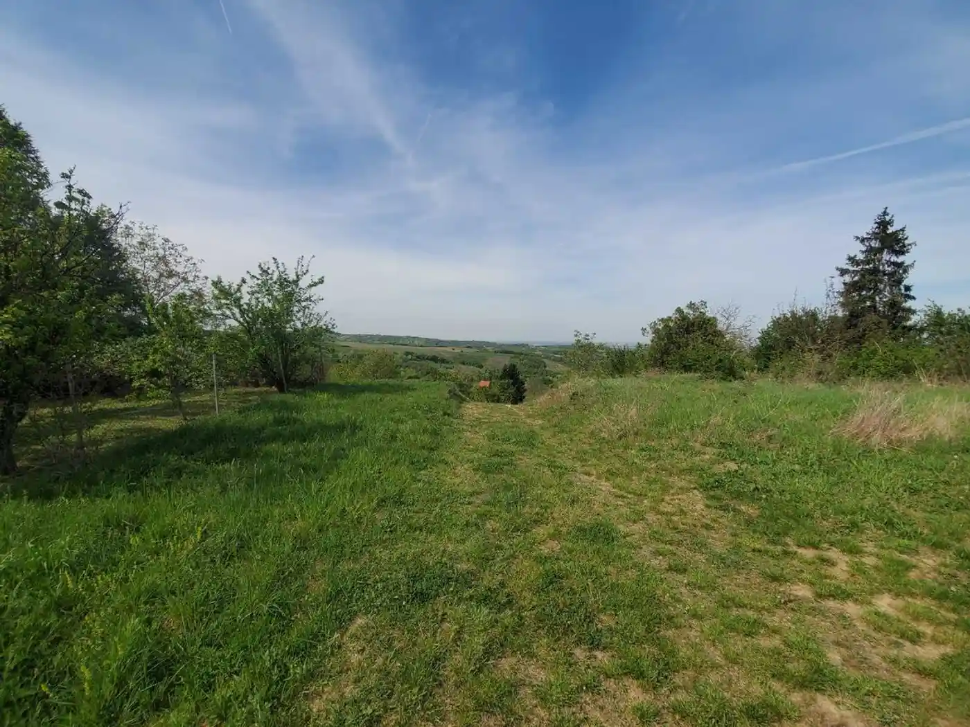 plac na prodaju Sremski Karlovci 2429m2 526800