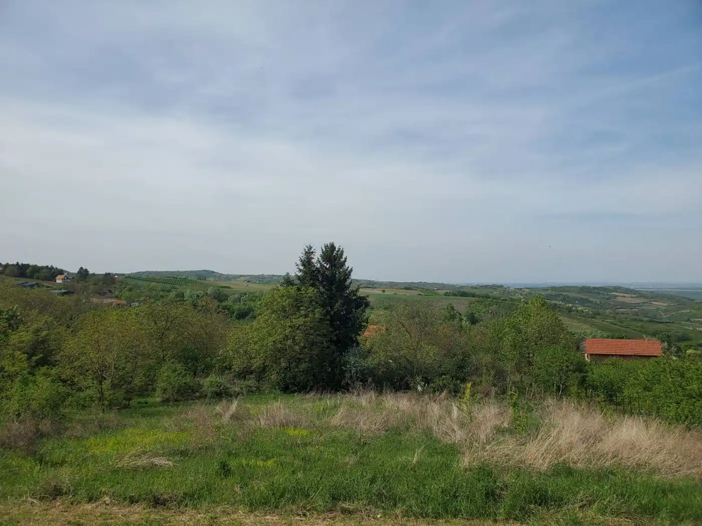 plac na prodaju Sremski Karlovci 2429m2 526800