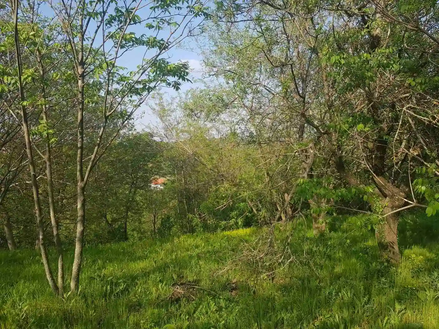 plac na prodaju Maradik 12240m2 527322