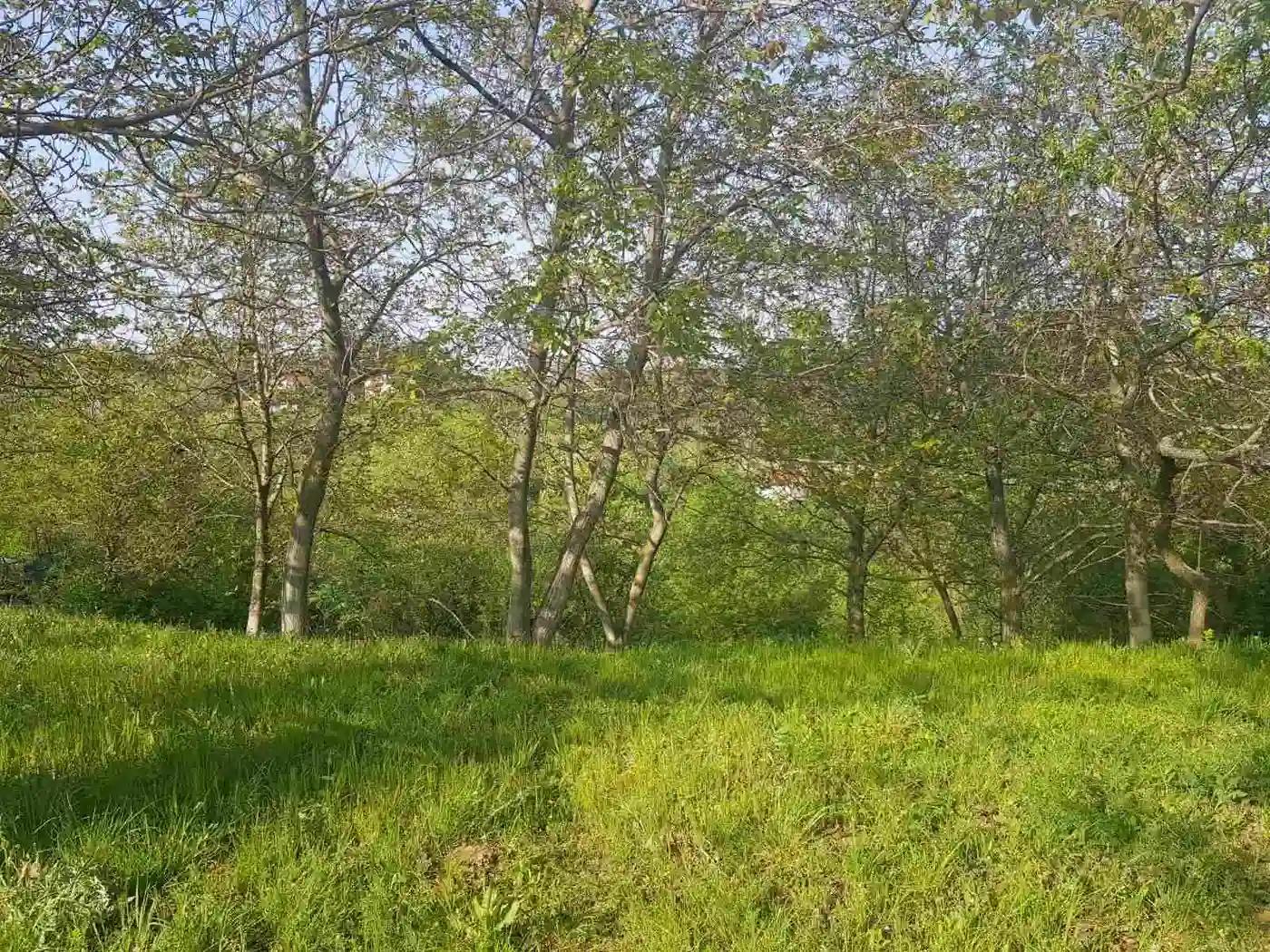 plac na prodaju Maradik 12240m2 527322