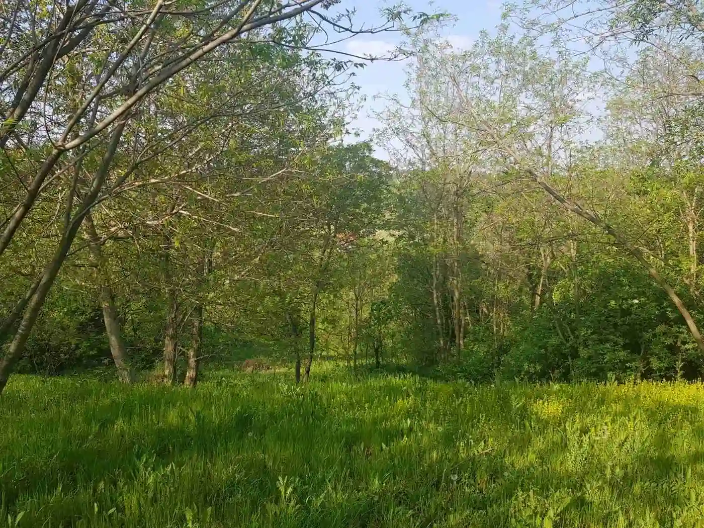 plac na prodaju Maradik 12240m2 527322
