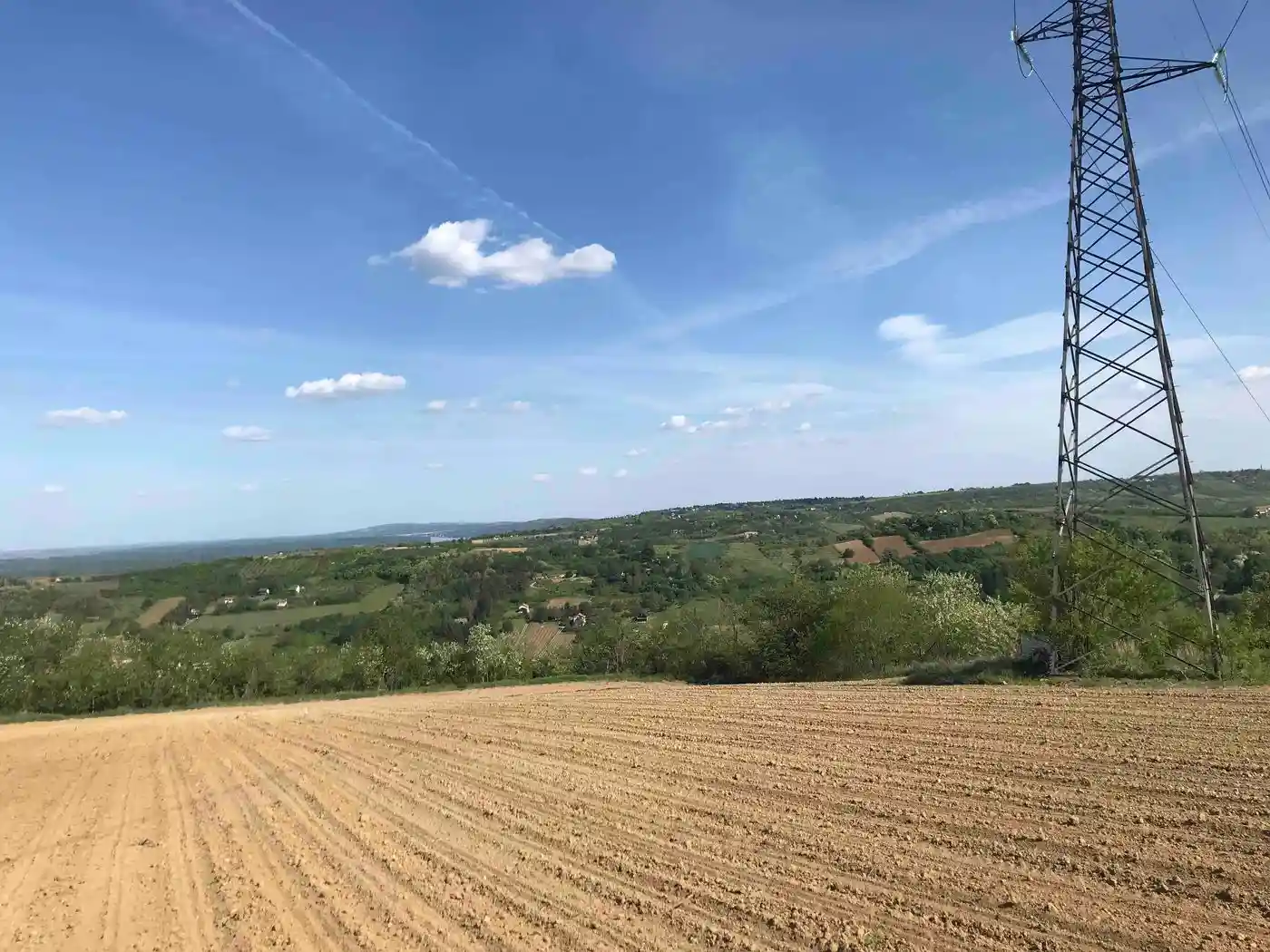 plac na prodaju Sremski Karlovci 12392m2 527329