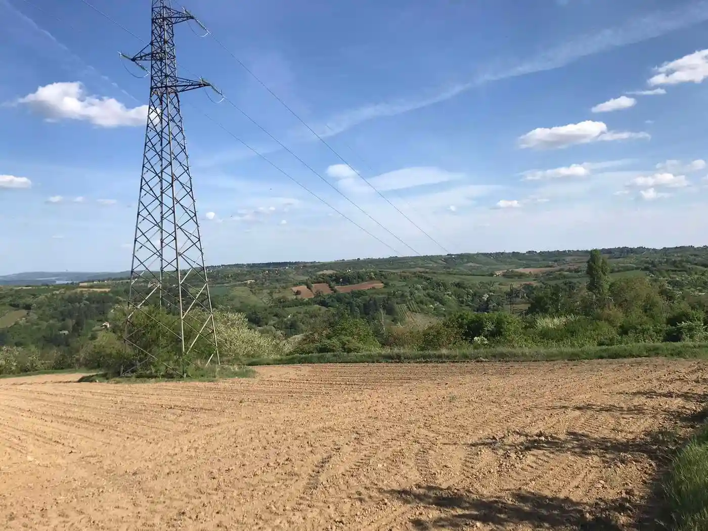 plac na prodaju Sremski Karlovci 12392m2 527329