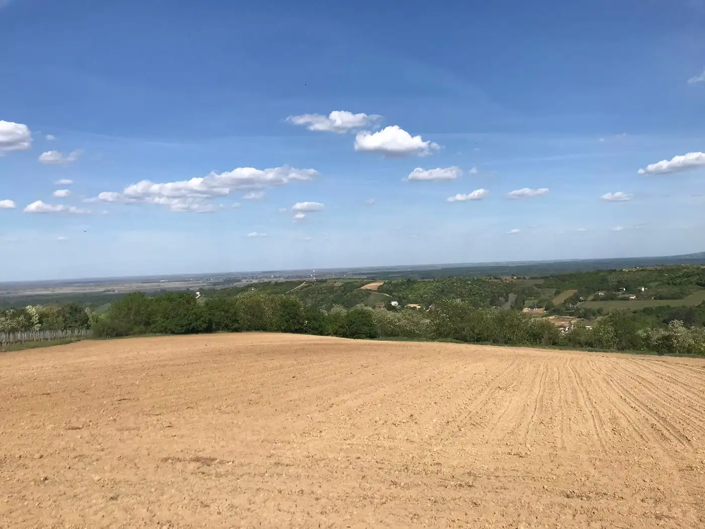 plac na prodaju Sremski Karlovci 12392m2 527329