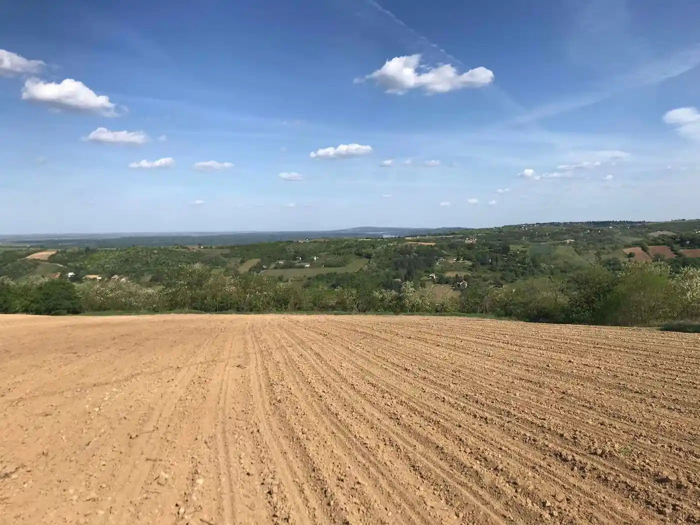 plac na prodaju Sremski Karlovci 12392m2 527329