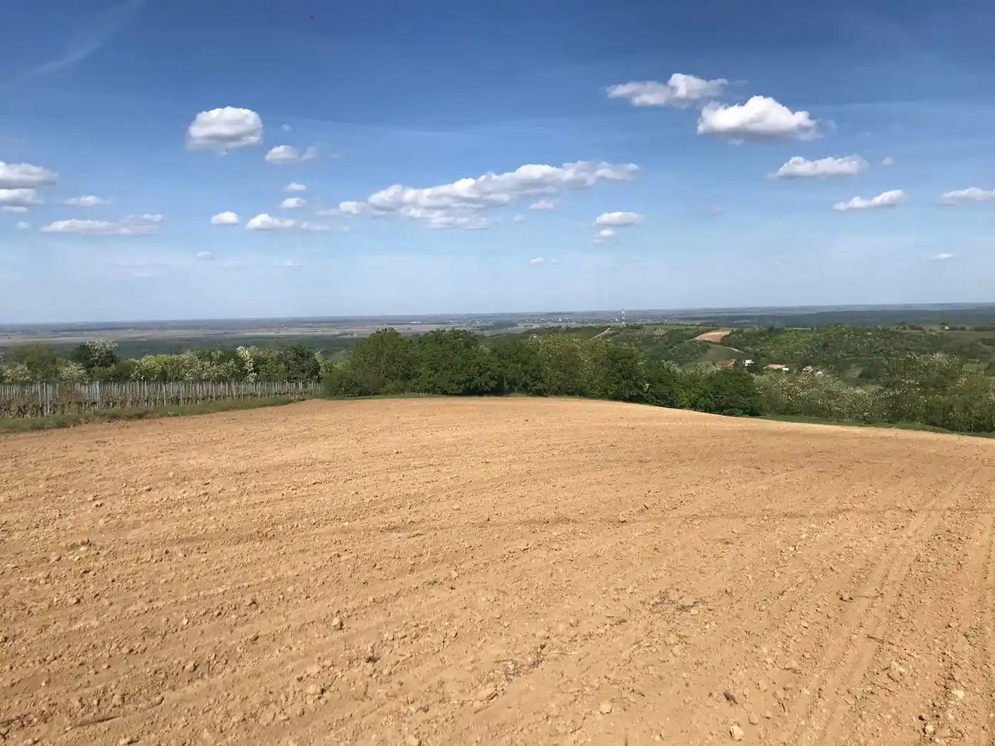 plac na prodaju Sremski Karlovci 12392m2 527329