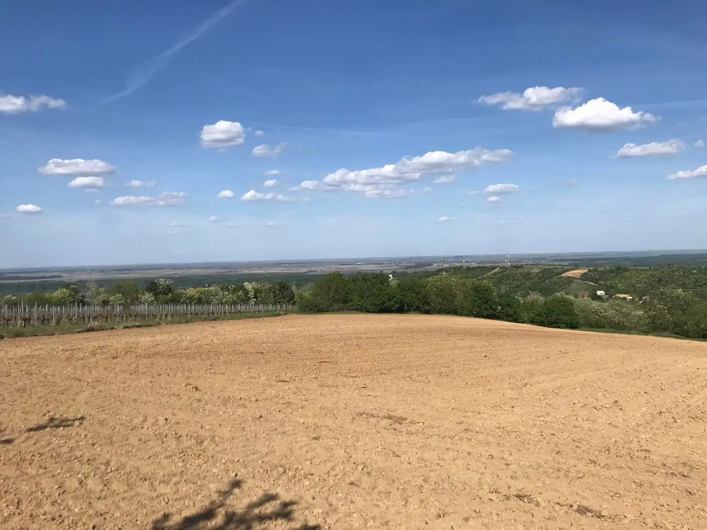 plac na prodaju Sremski Karlovci 12392m2 527329