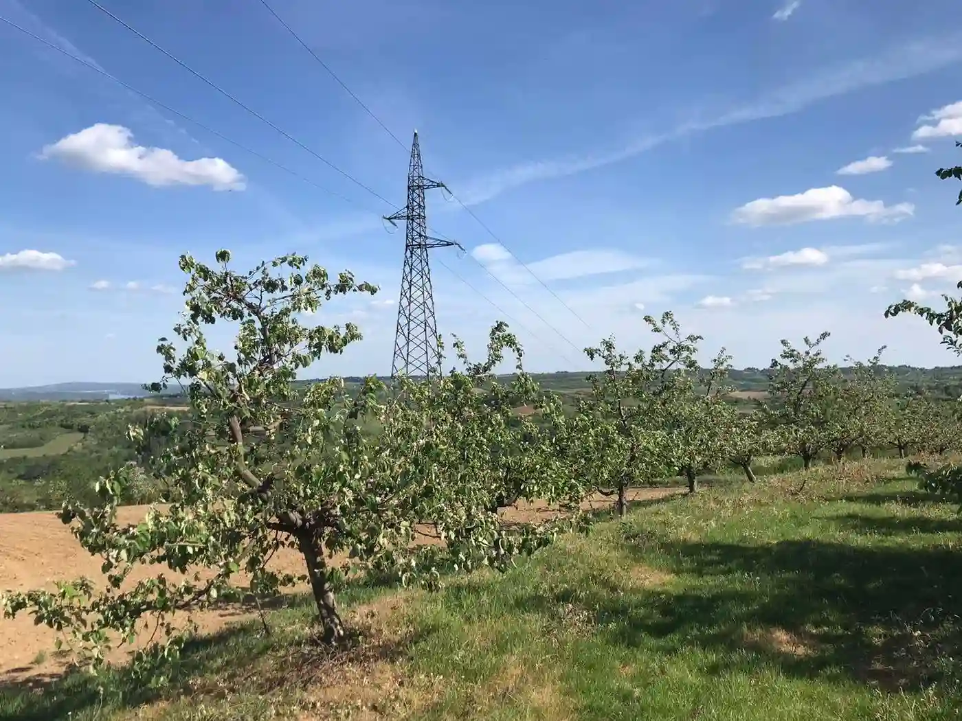 plac na prodaju Sremski Karlovci 12392m2 527329