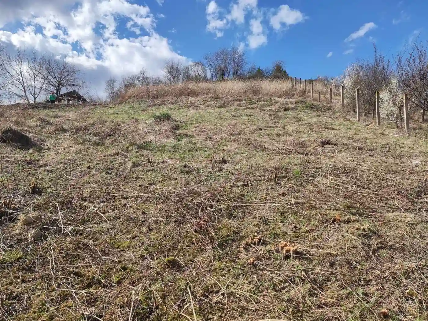 plac na prodaju Rakovac 1197m2 527678