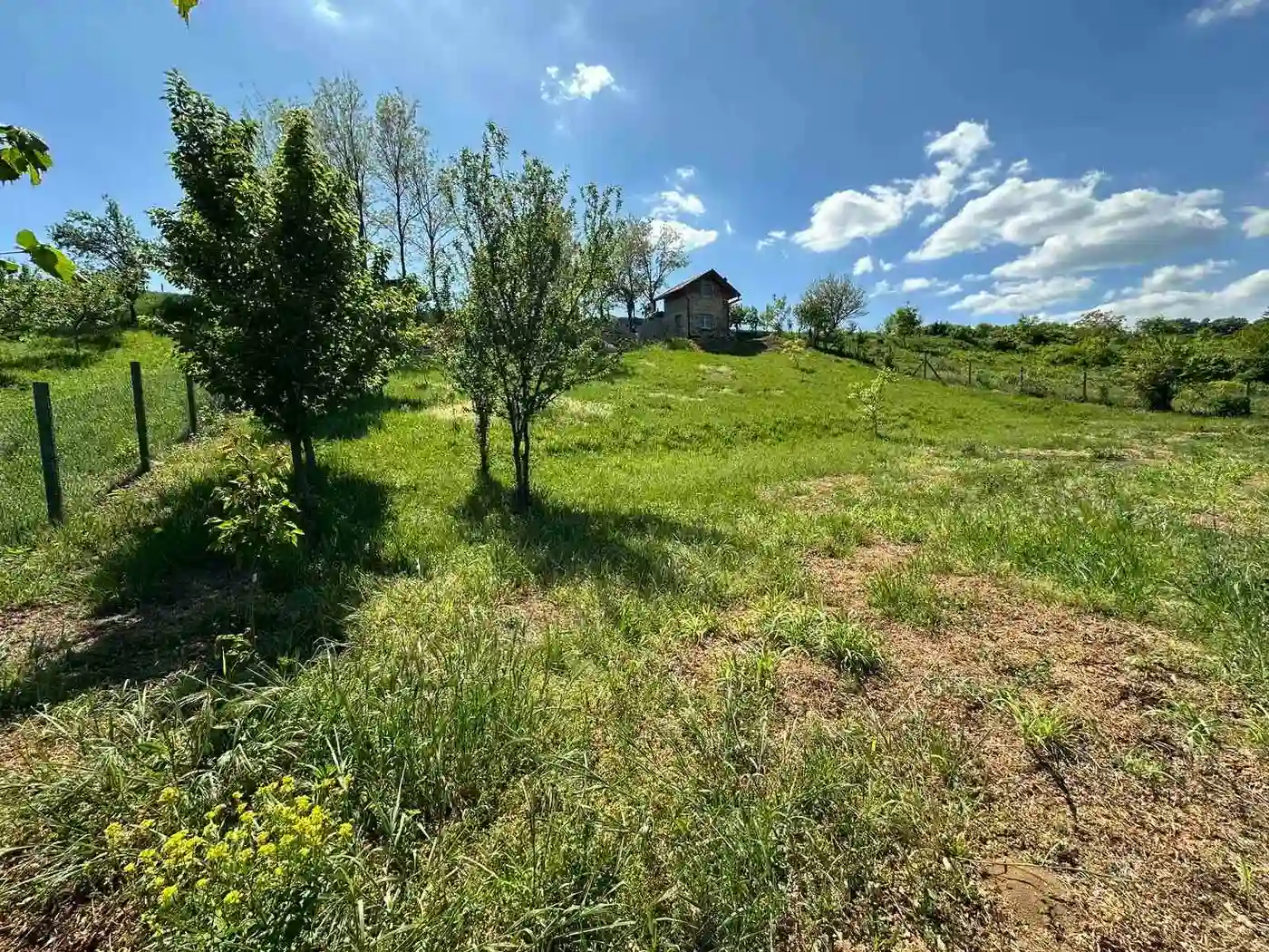 kuca na prodaju Sremski Karlovci 40m2 527204