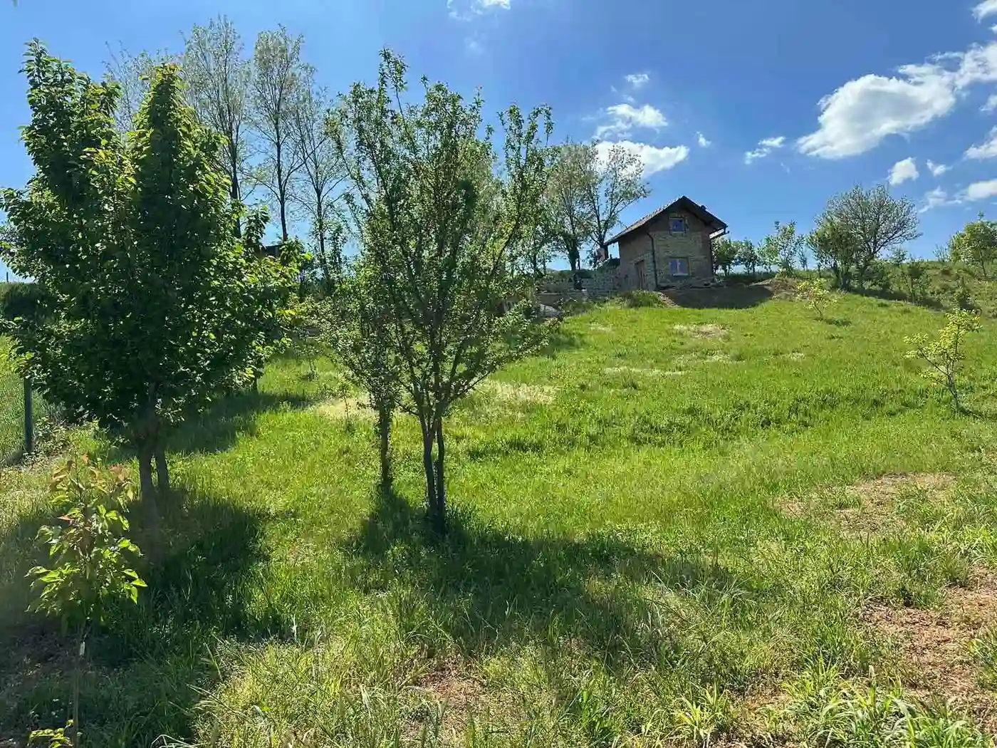 kuca na prodaju Sremski Karlovci 40m2 527204
