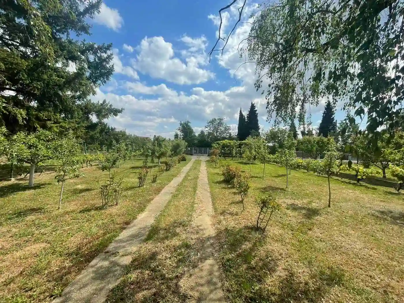 kuca na prodaju Čortanovci 44m2 563123