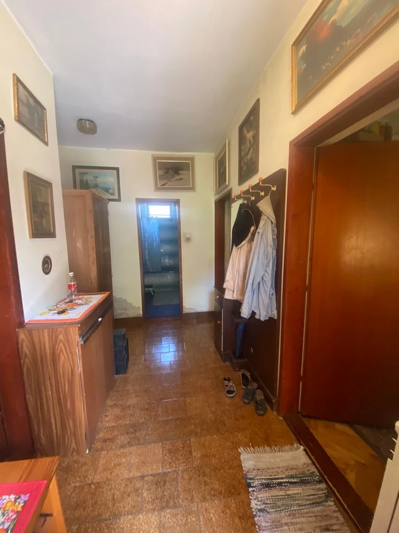 kuca na prodaju Sremska Kamenica 160m2 528043
