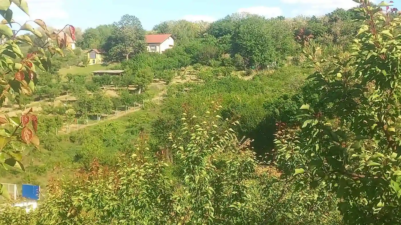 plac na prodaju Sremski Karlovci 2448m2 528100