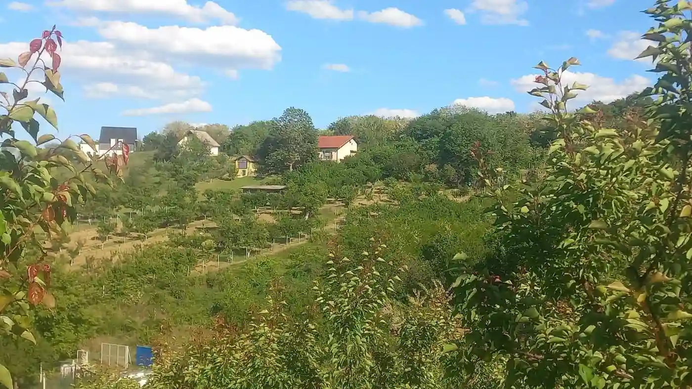 plac na prodaju Sremski Karlovci 2448m2 528100
