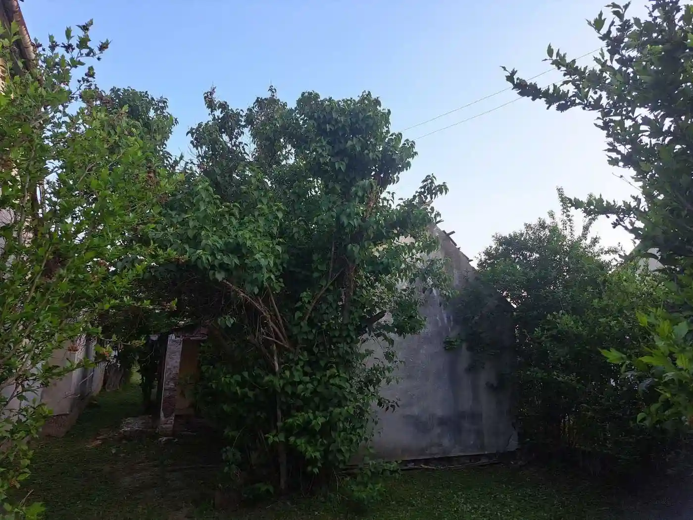 kuca na prodaju Futog 67m2 527110