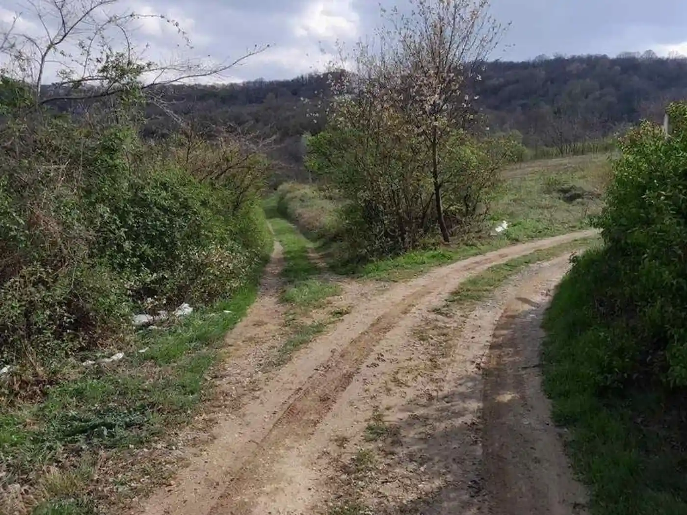 plac na prodaju Ledinci 2841m2 525904