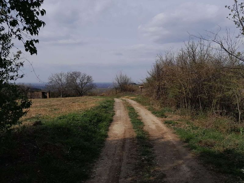 plac na prodaju Ledinci 2841m2 525904