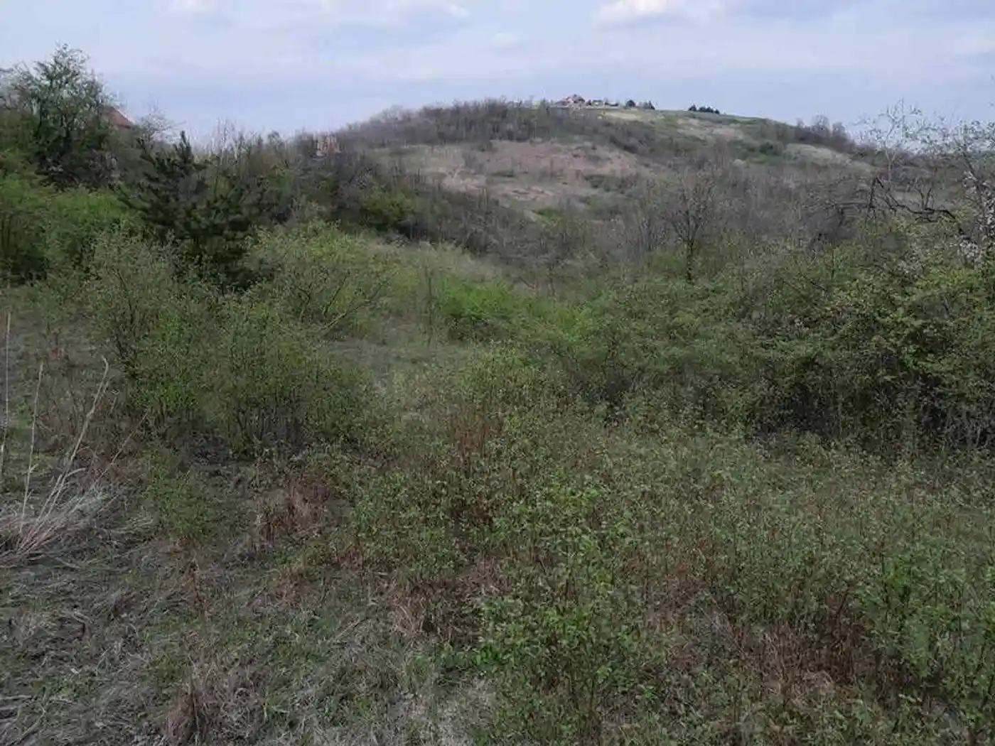 plac na prodaju Ledinci 2841m2 525904