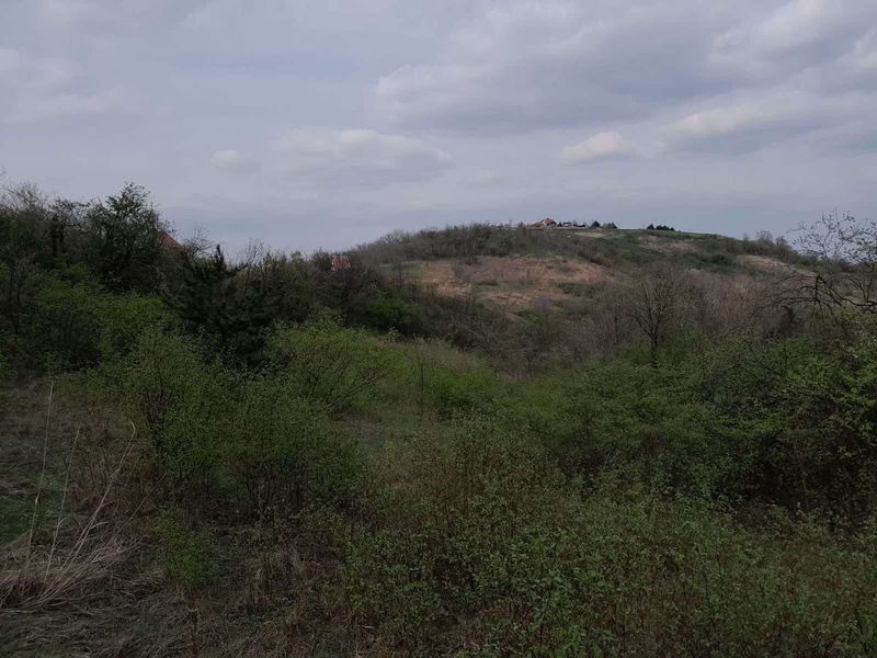 plac na prodaju Ledinci 2841m2 525904