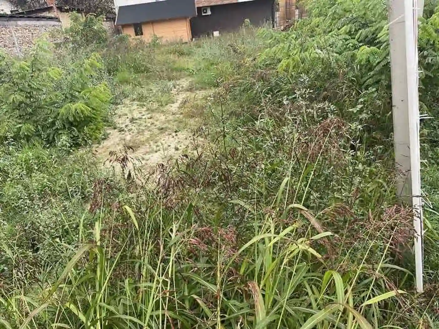 plac na prodaju Novi Sad 2386m2 528814